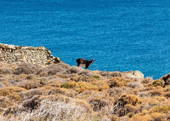 Caval Residences Villa